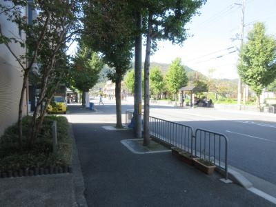 ドゥエル嵯峨の荘の周辺|前面道路