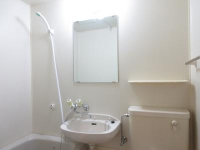 ドゥエル嵯峨の荘の洗面所