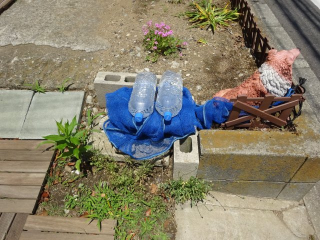 サルーンハイツのその他共用部分