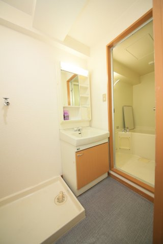 サンモール原の洗面所