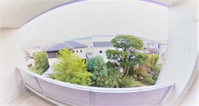 アイビーコート88の展望|アイビーコート88　（2LDK）　眺望