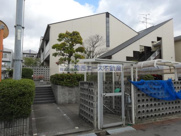 グリーンフォレストの画像