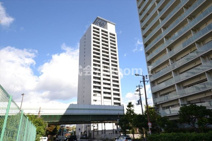 メゾン・ド・ヴィレ大阪城公園前の画像