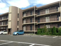 フラゴーラの画像