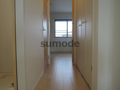 【その他】 | パインルーツⅡ