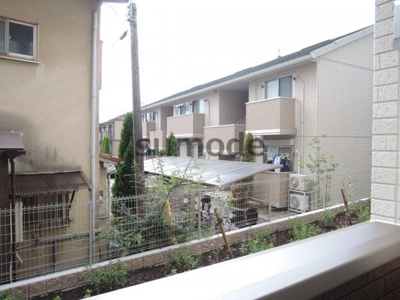 【展望】 | パインルーツⅢ