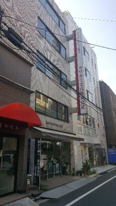 カワカミビル