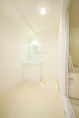 サニーコート清城の洗面所