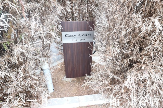 Cozy courtのエントランス