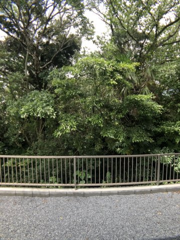 鹿嶋市大字国末のアパートの展望