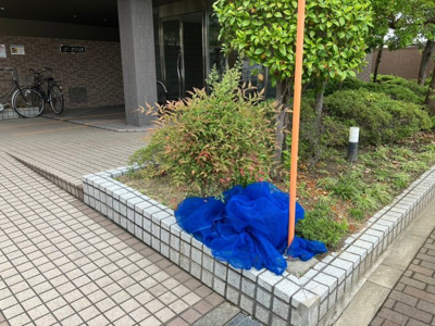 【その他共用部分】 | カサセラミカ