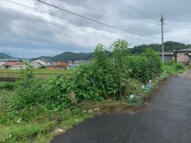 岩手郡岩手町大字五日市第１１地割の画像