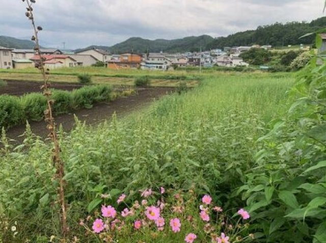岩手郡岩手町大字五日市第１１地割の外観