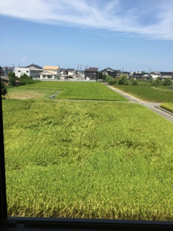 【展望】 | セジュールグリーンＢ