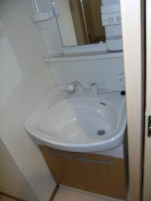 ワイズコートの洗面所