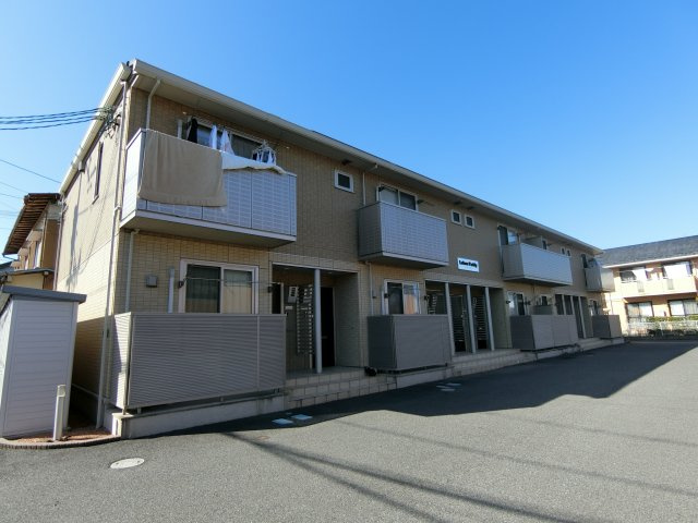 レーベン　パディー