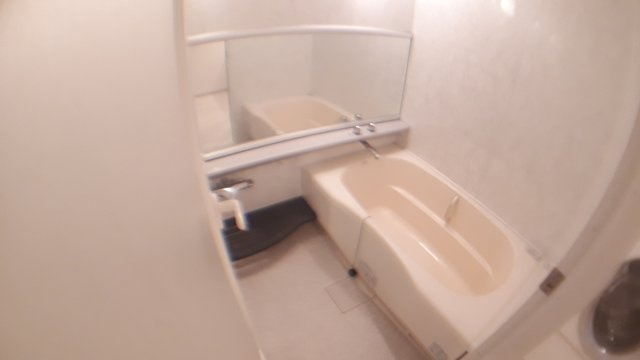 中央区新川１丁目の賃貸マンションの浴室