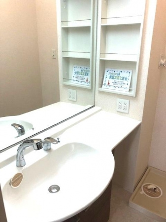 スリー・スター Ⅲ号館 Ａの独立洗面台