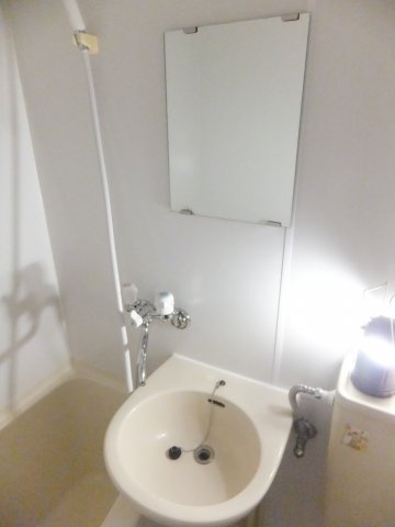 Pコーポラスの洗面所