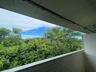 【展望】 | サンフラワーA