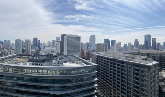 【居間・リビング】 | シティタワー麻布十番 | こちらのリビングで趣味の時間をお楽しみください