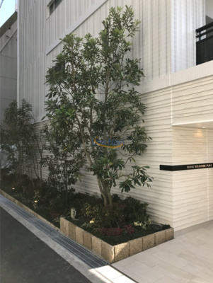 【エントランス】 | ブランズ北堀江プレイス