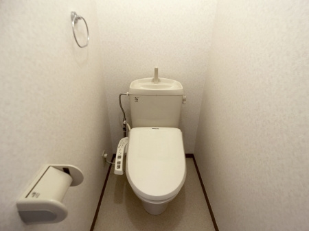 セジュール２５２のトイレ