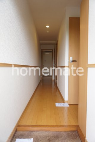 熊本市南区城南町千町の賃貸マンションの玄関