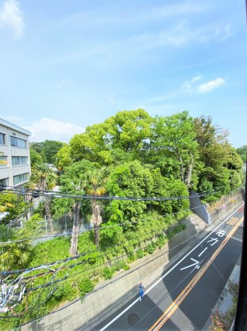 「防音マンション」リトルズトーン上野公園の展望|窓から見える緑は上野公園です。都会の中で緑を感じることが出来ます。