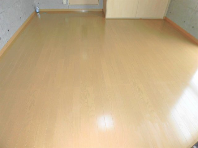 リバーライズⅠの洋室
