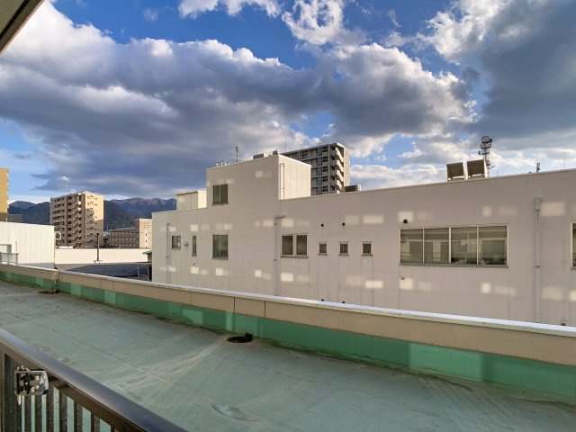 ハイデンスニーズの展望