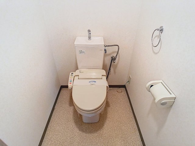 ハイデンスニーズのトイレ