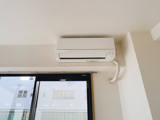 ハイデンスニーズのその他