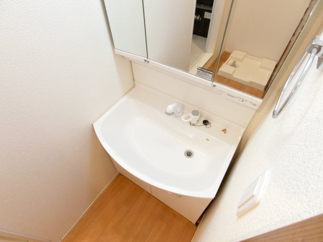 バイブリーコートＤ棟の洗面所