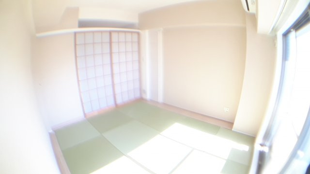 台東区東上野４丁目の賃貸マンションの和室|琉球畳リフォーム前