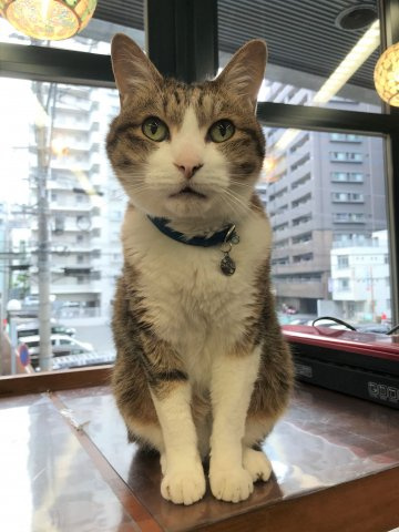 ビジネス・ワン六本松のその他|ビジネス・ワン六本松（1R）