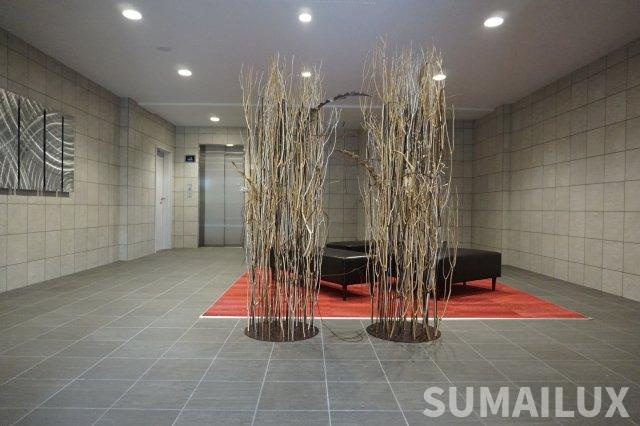 熊本市中央区白山１丁目の賃貸マンションのロビー