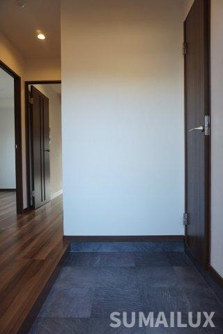 熊本市中央区白山１丁目の賃貸マンションの玄関