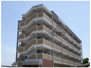 フィオレ水無瀬の画像