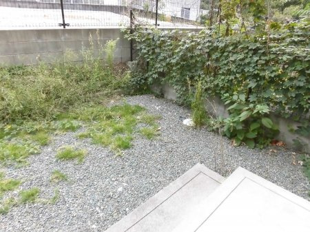 菊池郡菊陽町花立１丁目のアパートのバルコニー