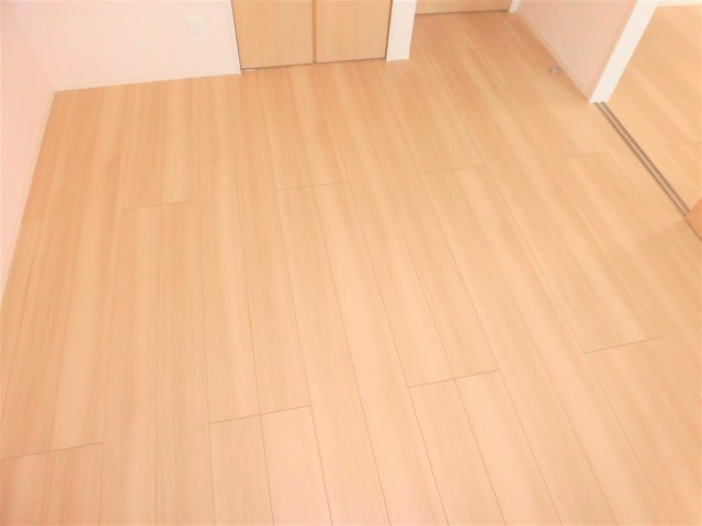 ラフィーネ・デュオⅡC棟の洋室