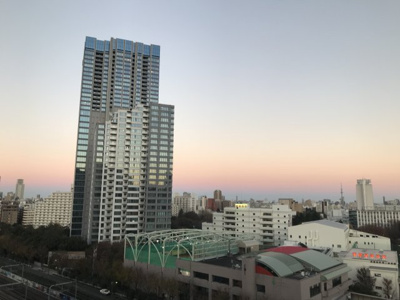 【展望】 | 西戸山タワーホウムズセントラルタワー | バルコニーからスカイツリーや隅田川花火大会が見えます