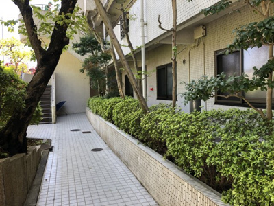 【周辺】 | 上野毛ガーデンハイツA棟 | 緑がいっぱいの共用部