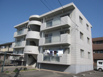 エバーグリーン手城　Ｂの画像