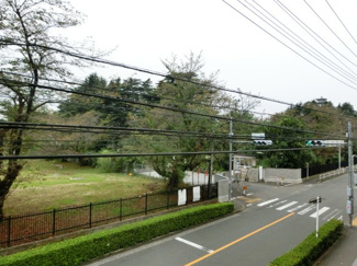 【展望】 | 開放感のあるバルコニーからの眺望。
