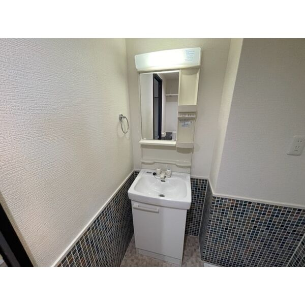 グランドーリア西院の洗面所