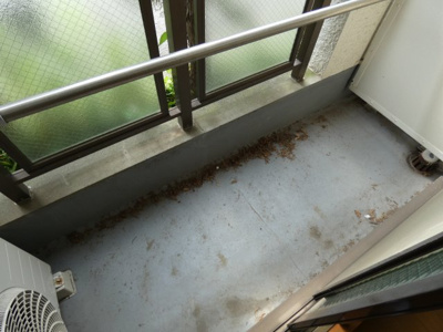 【バルコニー】