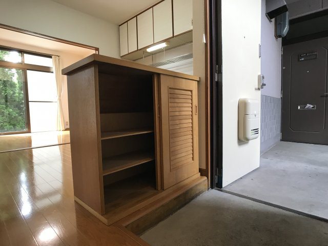 [Wi-Fi] 光と風と 青と蒼の玄関|たっぷりとした靴収納