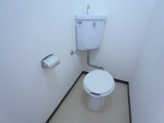 グリーンハイツ桃山のトイレ