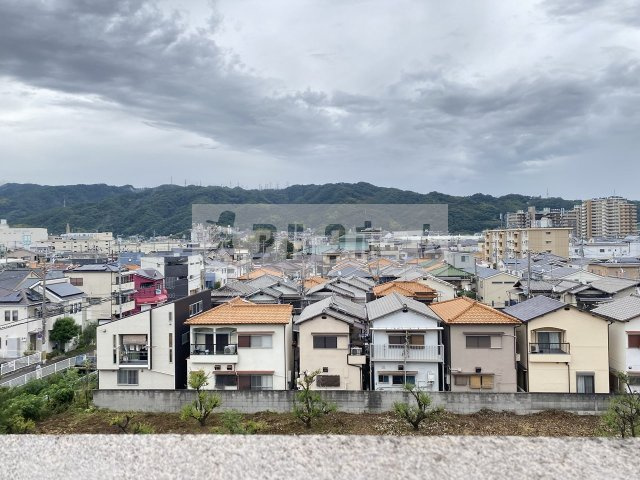 パレフルールの展望|パレフルール（柏原市本郷）　見晴らし